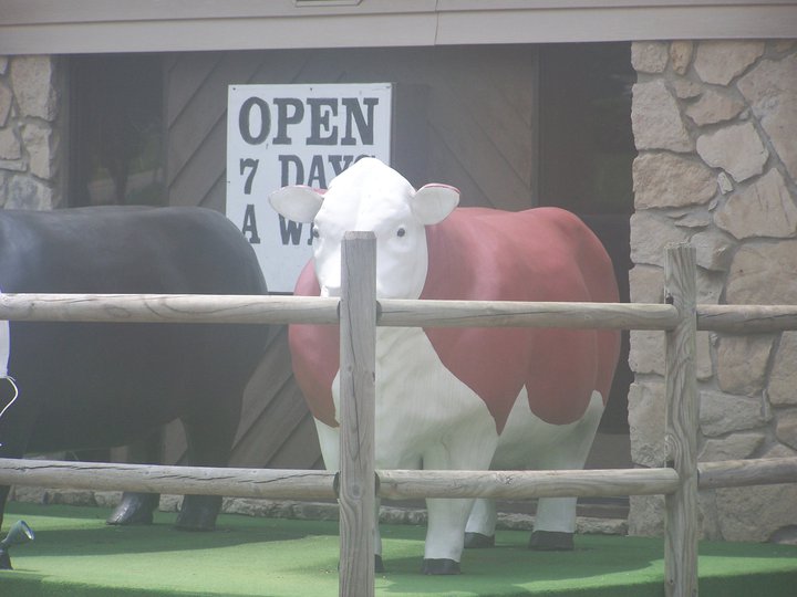 A cow statue